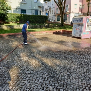 Lavagem Jardim Bulhão Pato